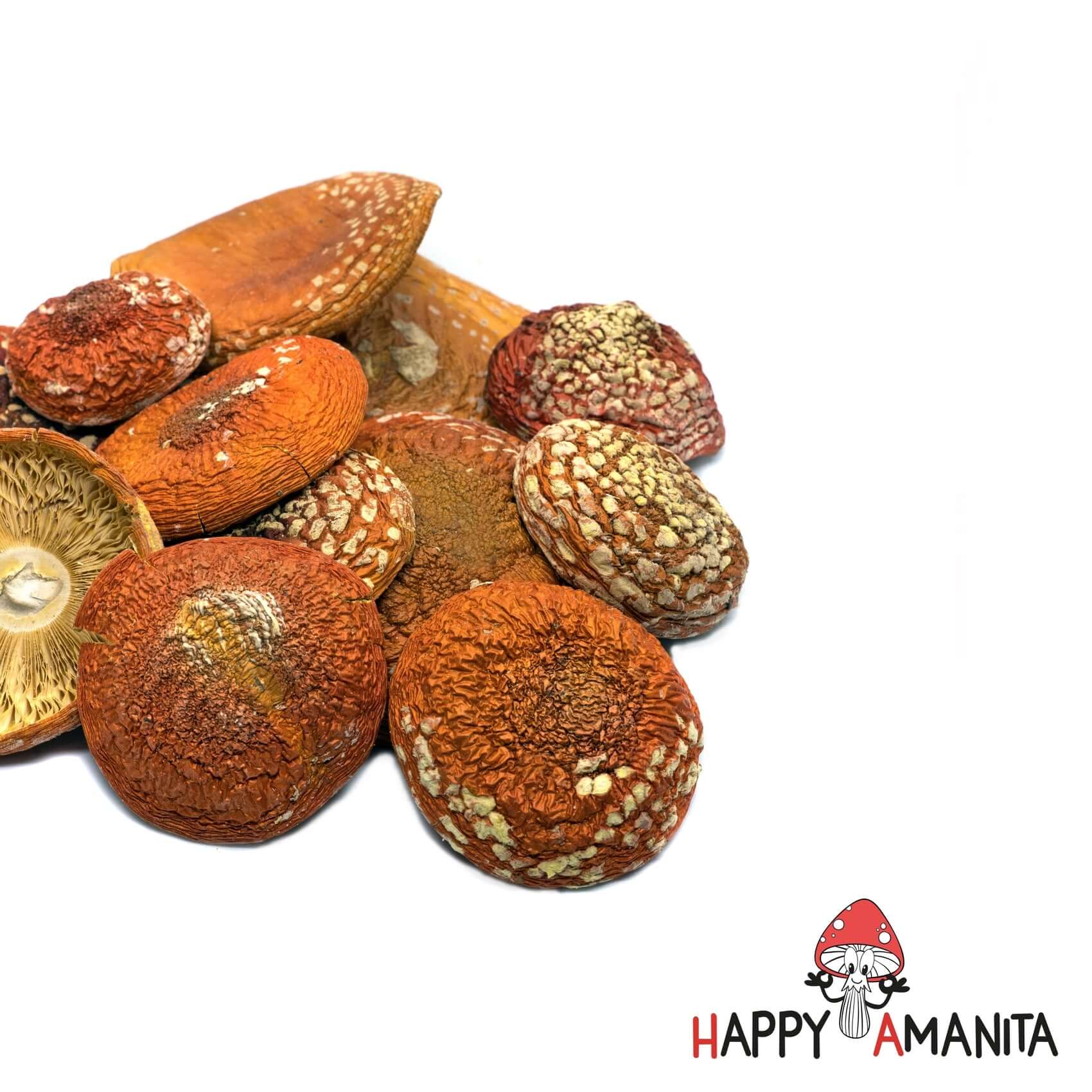 Dried Amanita Muscaria Caps 50g (1.8oz) - HappyAmanita