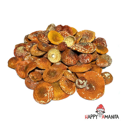 Dried Amanita Muscaria Caps 1000g (35.2 oz) - HappyAmanita